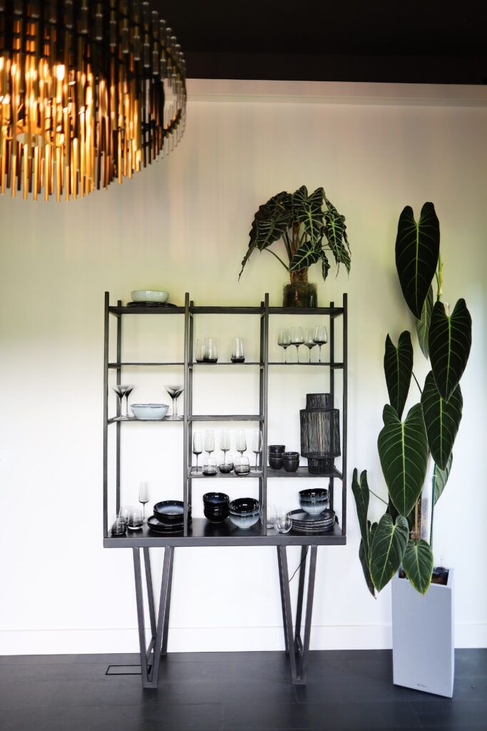 20000101_050906620_iOS-683x1024